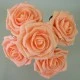 Colourfast Foam Roses Large Apricot 5 Pack 25cm - R332 T4