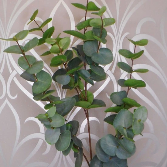 LUXE Artificial Eucalyptus Supreme 116cm - LUX043 CC3