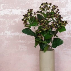 LUXE Artificial Hypericum Berries Burgundy 72cm  - LUX015 CC2