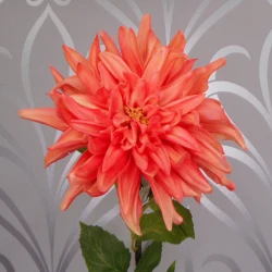 LUXE Artificial Dahlias Labyrinth Apricot 75cm - LUX011