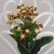 LUXE Artificial Hypericum Berries Pink 72cm - LUX016 CC2
