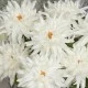 LUXE Artificial Dahlias MY LOVE White 75cm - LUX012 CC3