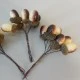 Bunch of 6 Artificial Acorn Picks - X19304 BAY3C