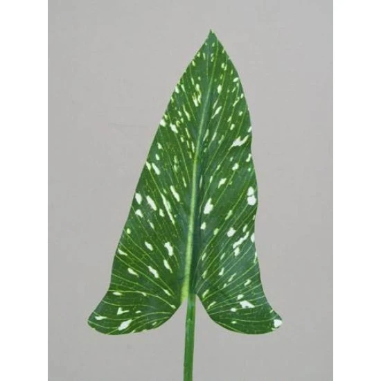 Artificial Calla Lily Leaf - CAL003 II3