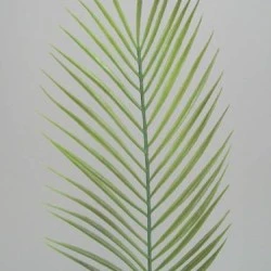 Kentia Artificial Palm Leaf - PM006 J3