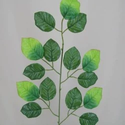 Rose Leaf Spray - ROS001 U4