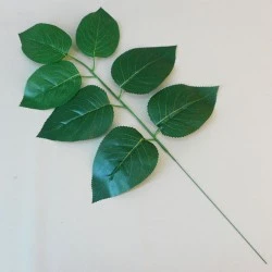 Apple Leaf Spray Large - APP001 N4