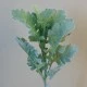 Artificial Cineraria Stem | Dusty Miller Short Stem Grey Green - CIN007 II2