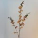Artificial Eucalyptus Branch Brown - EUC051 E3