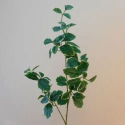 Artificial Euonymous Stem Dark Green - EUO002 E4