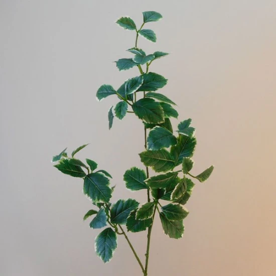 Artificial Euonymous Stem Dark Green - EUO002 E4