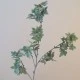 Artificial Flocked Ivy Stem - IVY039 H4