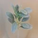 Artificial Lambs Ears Short Stem Grey Green - LAM006 I3