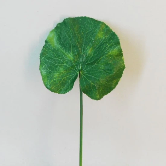 Artificial Lotus Leaf Small - LOT004 JJ4