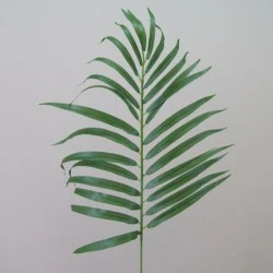 Artificial Parlour Palm Leaves - PM007 