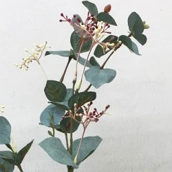 Artificial Seeded Eucalyptus Stem - EUC011 C2