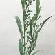 Artificial Stachys with Buds Green - STA004 J4
