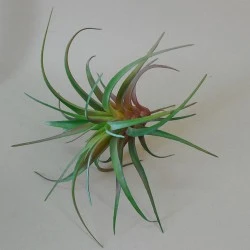 Artificial Succulent Tillandsia - SUC004 S1