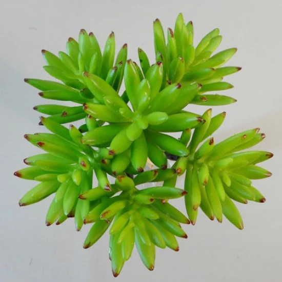 Artificial Succulents Bundle Green Senecio - SUC015 DD2