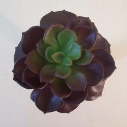 Artificial Succulent Camellia Burgundy - SUC011 JJ2