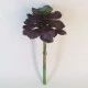 Artificial Succulent Camellia Burgundy - SUC011 JJ2