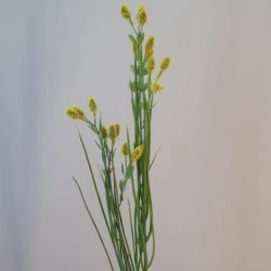 Artificial Wild Grass with Seeds - WGR004 U4