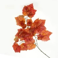 Orange Leaves and Foliage