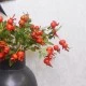Artificial Rosehips Red 46cm - R397 U4