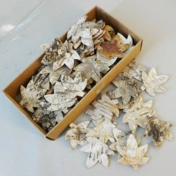 Box of Birch Bark Maple Leaves - BIR004 PR