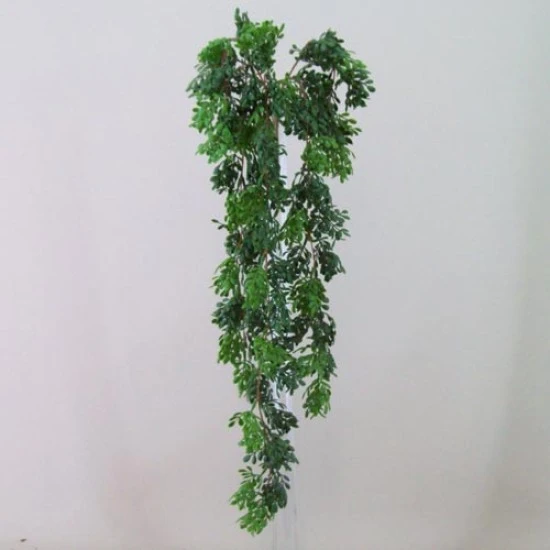 Trailing Boxwood Artificial Plants - BOX018 A3