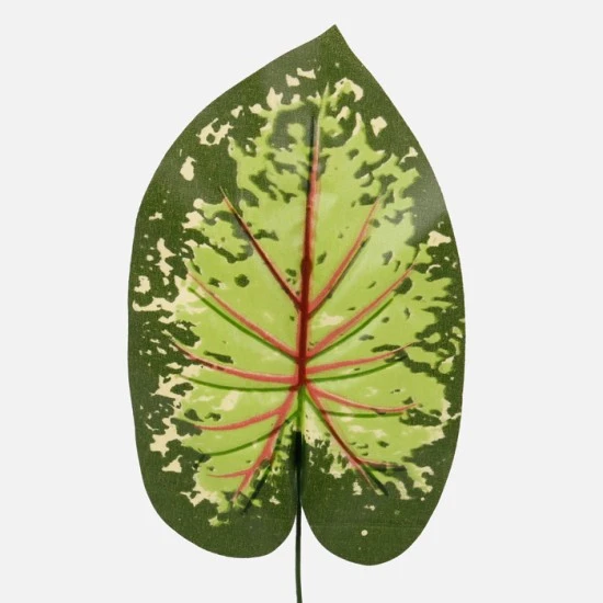 Artificial Caladium Leaf Green Red 43cm  - CAL002 C3