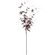 Ornamental Clematis Leaf Burgundy 115cm - CLE002 BB2