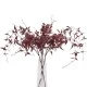 Ornamental Clematis Leaf Burgundy 115cm - CLE002 BB2