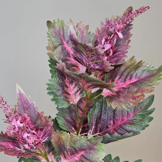 Artificial Coleus Spray Pink Green 87cm - COL003 J4