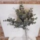 Artificial Gunnii Eucalyptus Green 58cm  - EUC043 