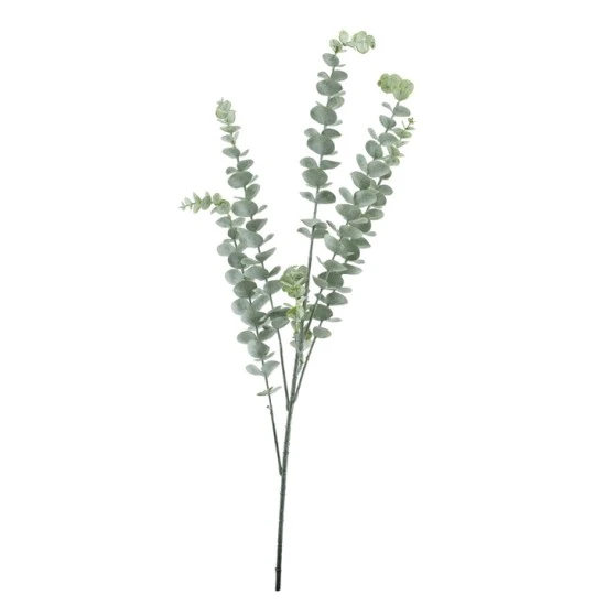 Dusted Eucalyptus Stem Grey Green 76cm - EUC041 E2