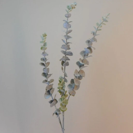 Dusted Eucalyptus Stem Grey Green 78cm - EUC017 F1