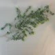 Artificial Eucalyptus Trailing Plants 92cm - EUC010 GG3