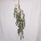 Artificial Eucalyptus Trailing Plants 92cm - EUC010 GG3