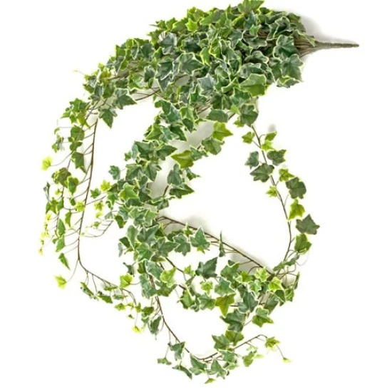 Extra Long Artificial Trailing Variegated Ivy Plant 182cm - IVY006 E4