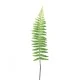 Artificial Ostrich Fern Leaf 60cm - FER081 JJ2