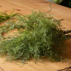 Artificial Asparagus Fern Bunch 53cm - ASP005 FF4