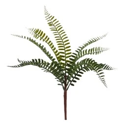 Budget Fern Plants Two Tone Green 30cm - FER027 G2