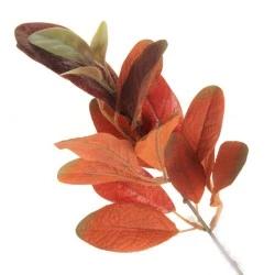 Artificial Ficus Callosa Spray Orange 35cm - FIC012 C2