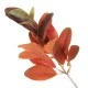 Artificial Ficus Callosa Spray Orange 35cm - FIC012 C2