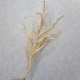 Faux Dried Artificial Reeds Spray Cream 104cm - GRA016 KK4
