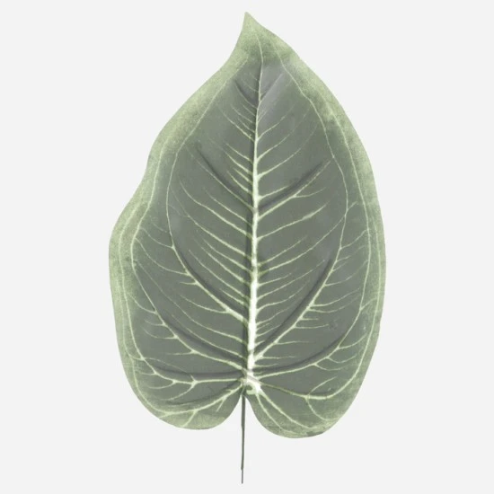 Fleur Artificial Hosta Leaf 40cm - HOS003 II2