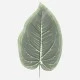 Fleur Artificial Hosta Leaf 40cm - HOS003 II2
