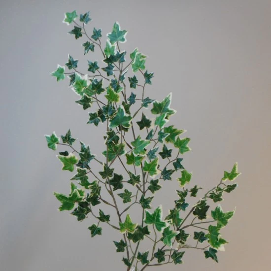 Artificial Variegated Holland Ivy Stem 109 Leaves - IVY049 G4