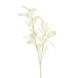 Artificial Lambs Ears Long Stem Cream 70cm - LAM009 I4